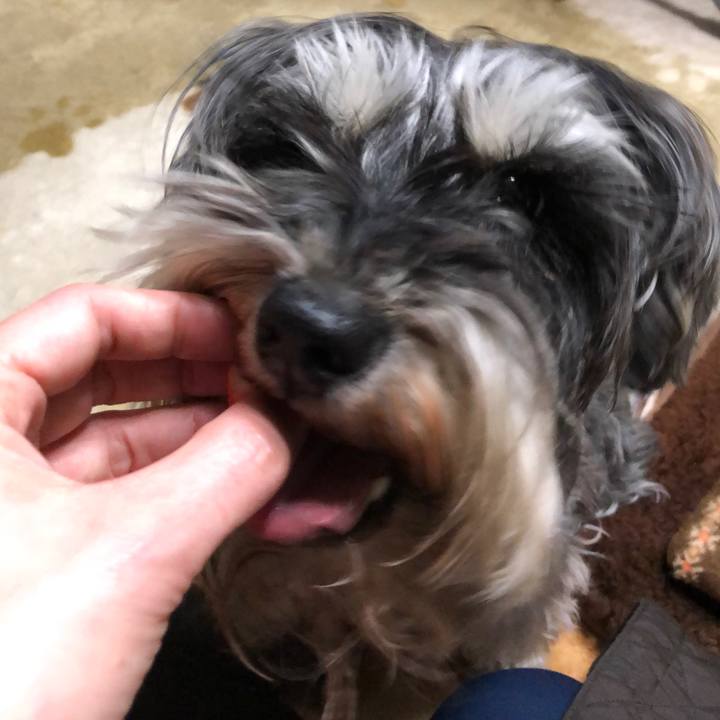 B33fbd4b 847b 4ead 915d 1daab51e1173 1553346160750