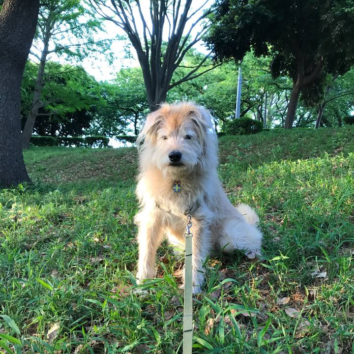 B33fbe76 f97b 4820 84dd 7029575890da 1618922607431