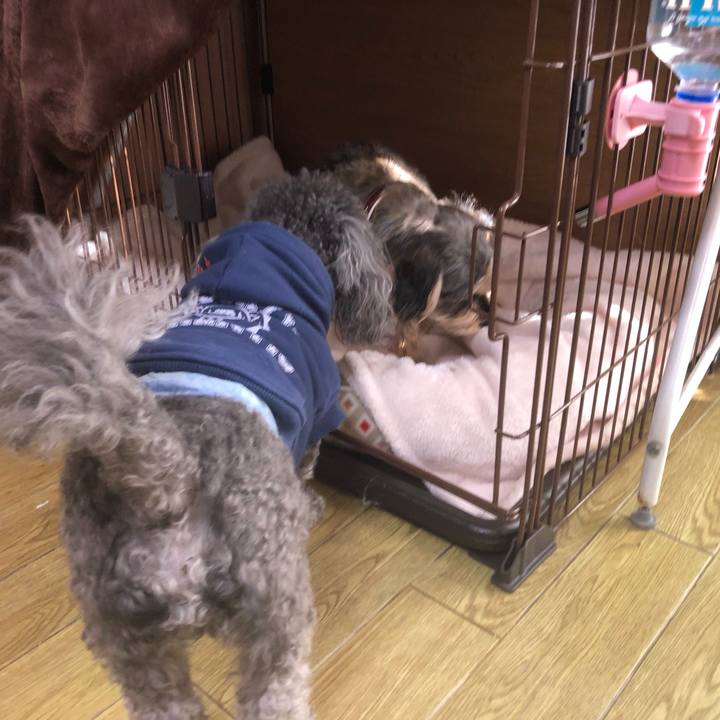 B33fd68b d709 44e9 8d11 f47c61e3d855 1577770571420