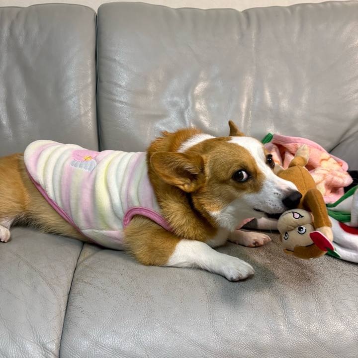 B33fdf5c 29cf 4f52 949e e50de55988f1 1767527620356