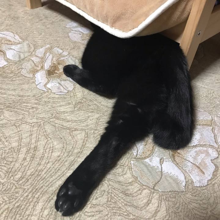 B33ffc56 cc0f 4806 984d 5fbf96fab0c9 1541753166704