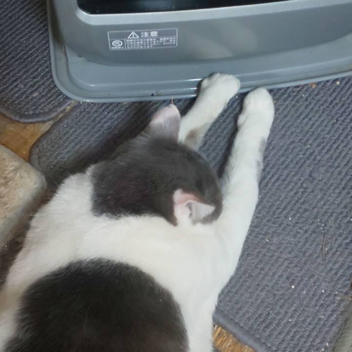 B3402b66 6b3f 44f1 ac75 cf4e189428cf 1708680885776