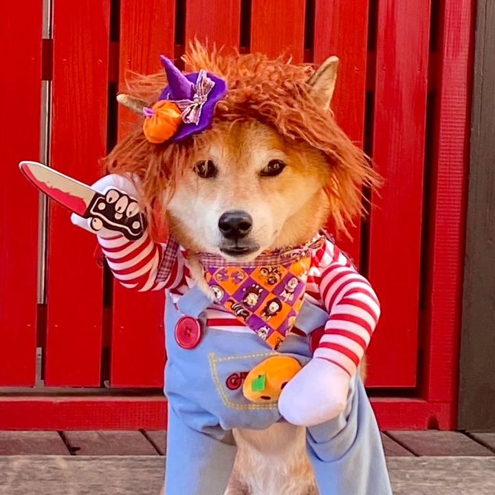 B3402cf1 8144 45ae adae 2853bc33e273 1728908161972