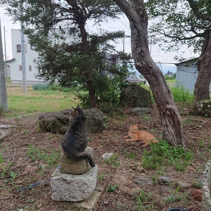 B340389e 5575 43e1 8f7c 401e70f08990 1661425071019