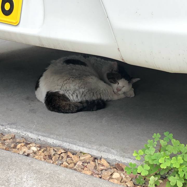 B3405671 9411 42bc a382 71ee909a7498 1657338830570