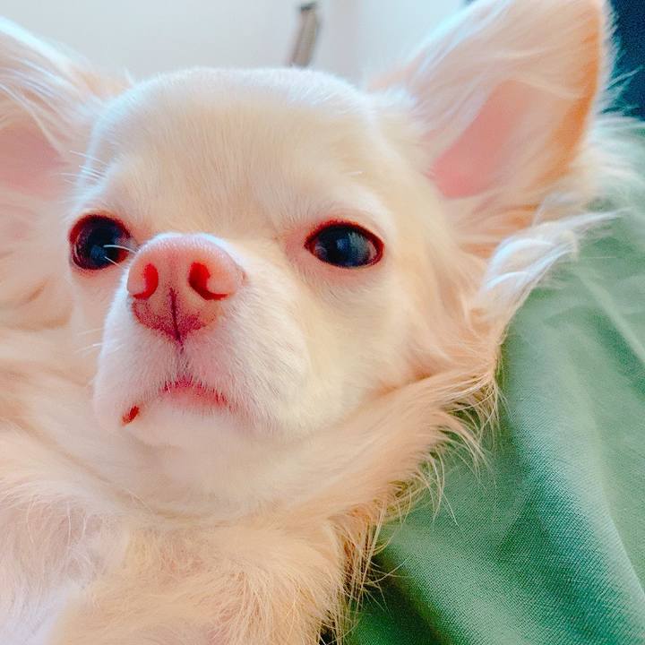 B340f55c 4efa 4674 9bd9 d5e395e15227 1623467308936