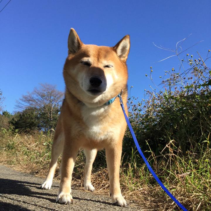 B340f6a9 c474 43e5 99f8 1124d58301dc 1542944745086