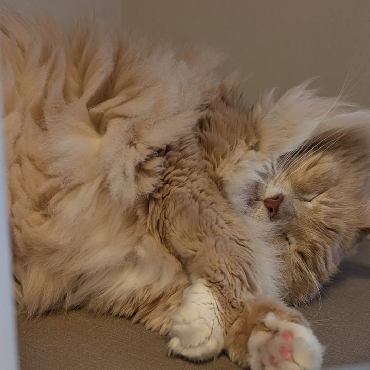 B3410407 26e1 49f4 ad25 037bd519fdd6 1766225388099