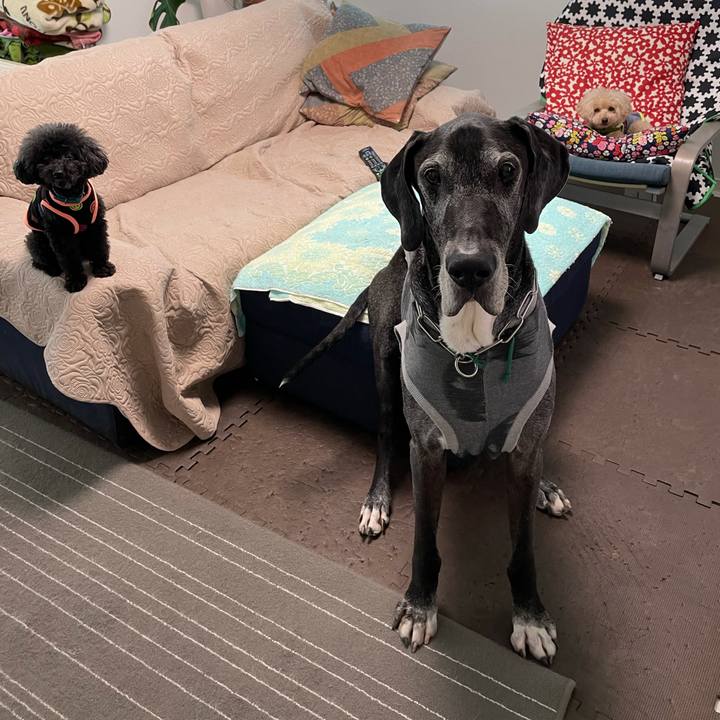 B3410a27 ccfb 4303 b015 710f8910ce54 1620944628490