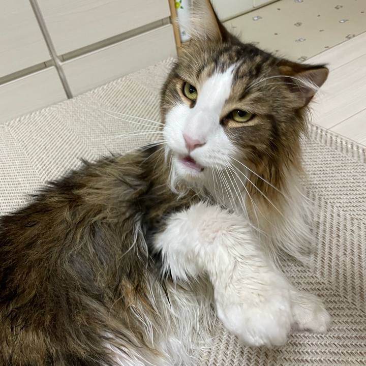 B34152ea 6057 49ab ad26 5fc674dce7fe 1672391048479