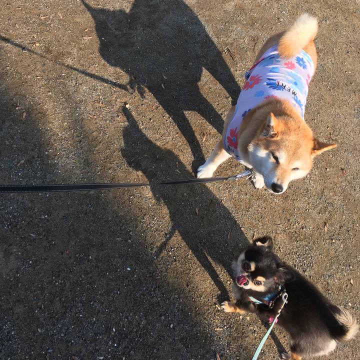 B3415fa6 2bc9 4863 b312 69db101f4225 1543297881747