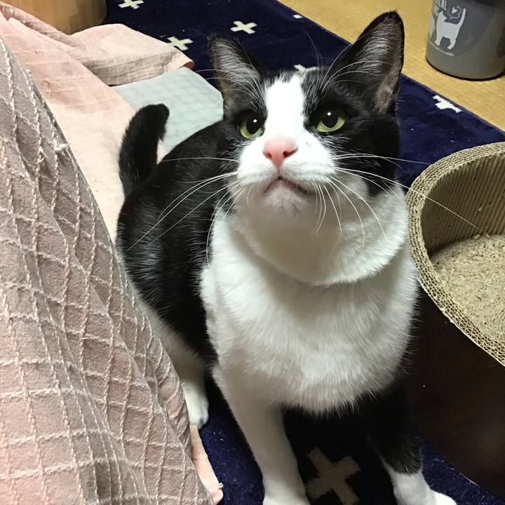 B341efcf b117 4564 811e c487ced6cd73 1711445491161