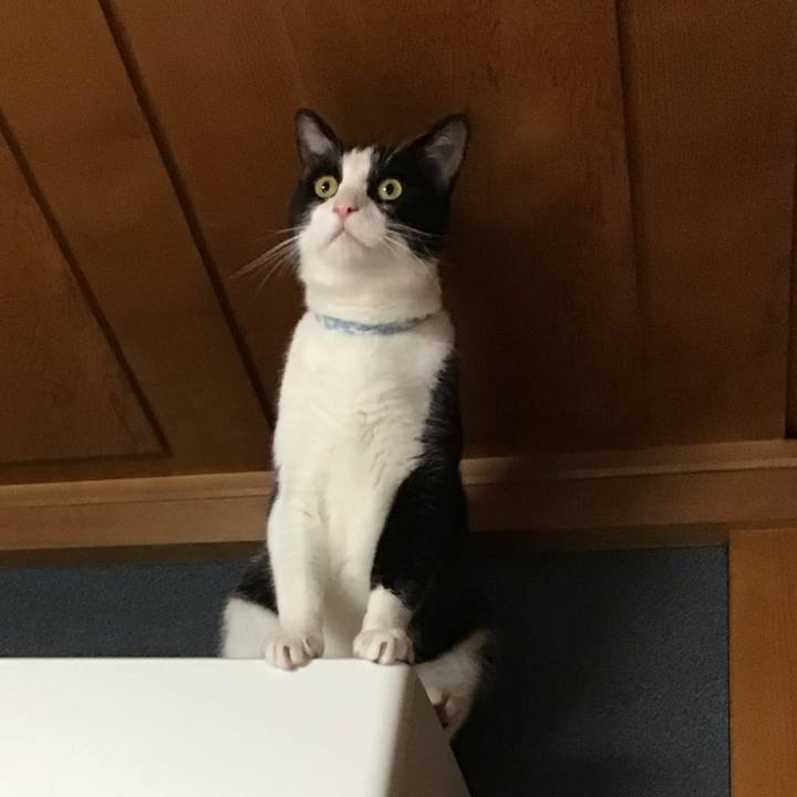 B341f5e7 1ac2 4c89 9e63 50fbbcd2fc69 1688216955759