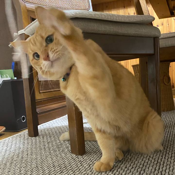 B3420429 e133 40c6 9584 385ac925d1b5 1604746994195