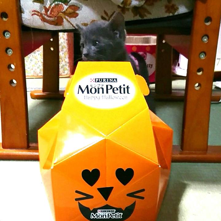 B34209a9 18f2 4286 9fa4 e3aab5b3ec96 1537798153337