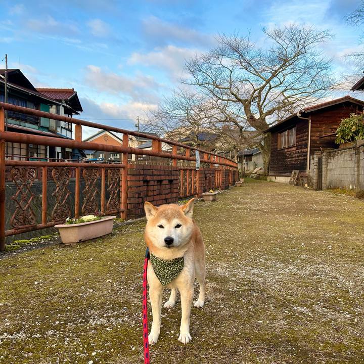 B3422e7f eeb0 4a70 b410 28b21dc2bfe2 1705921975158