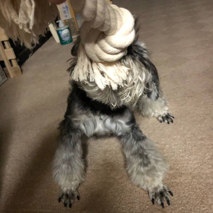 B3424995 ce5c 4c81 88ed 4c40a932e506 1684074586075