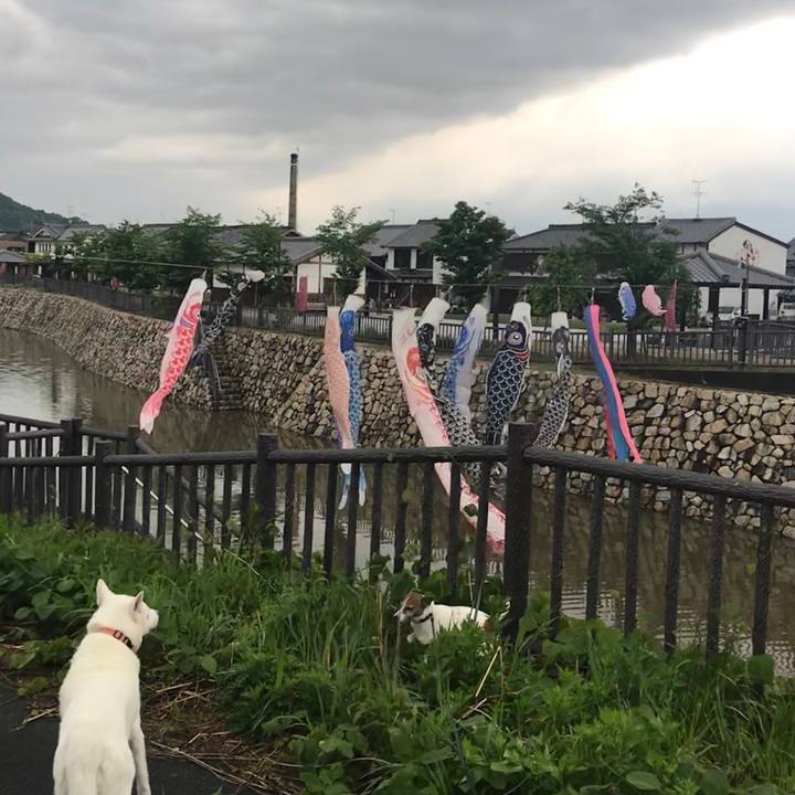 B3424d93 c7f5 4840 b546 b39f1d546c08 1525307549067