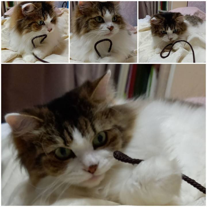 B34252a4 e607 47a0 9ccf 3baa959e9037 1628072544176