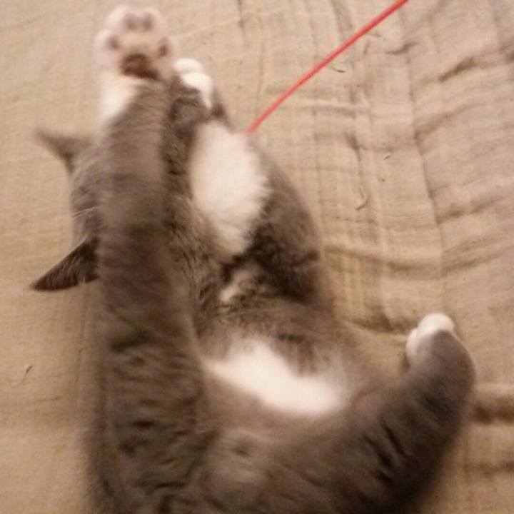 B3427547 7ecd 4ae6 a20c 3e72f227333d 1533095621583