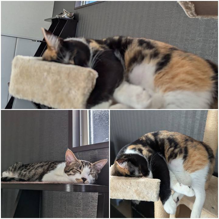 B342cee8 50c8 4eac 9152 3944d8a8160c 1727592895357