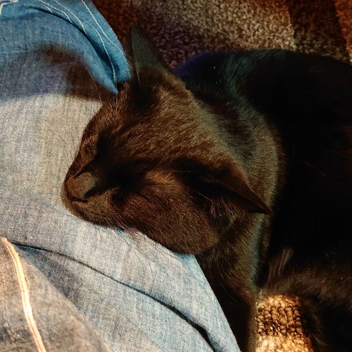 B342da90 8658 4493 ac26 63dd617f85ec 1542275050026