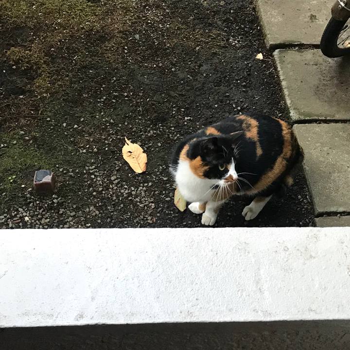 B342fe61 2825 42cb 8ffc 40f62247acc5 1511167978509