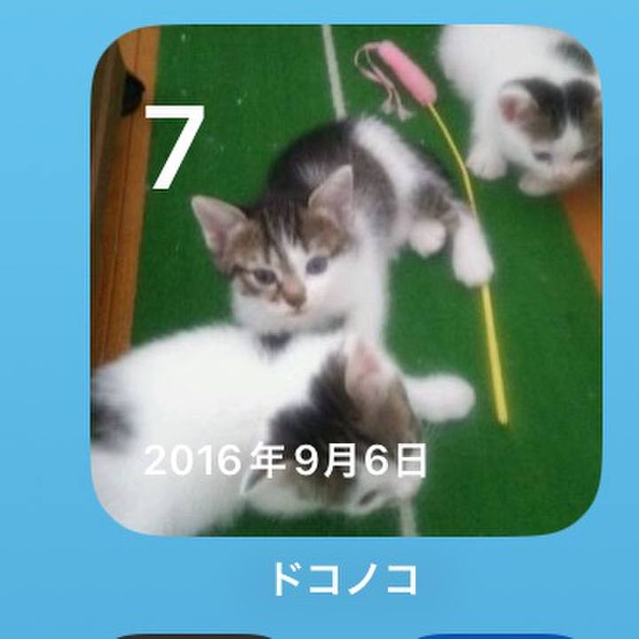 B3431081 718c 4ba7 b899 749874305f82 1757204330062