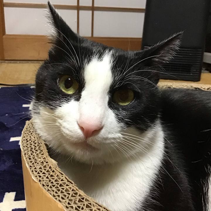 B3435816 38d9 4105 b66e fbc6620c35b5 1738574597625