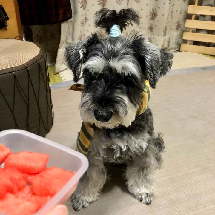 B3436021 db02 42ae bbb1 ad5c84689195 1659274708758