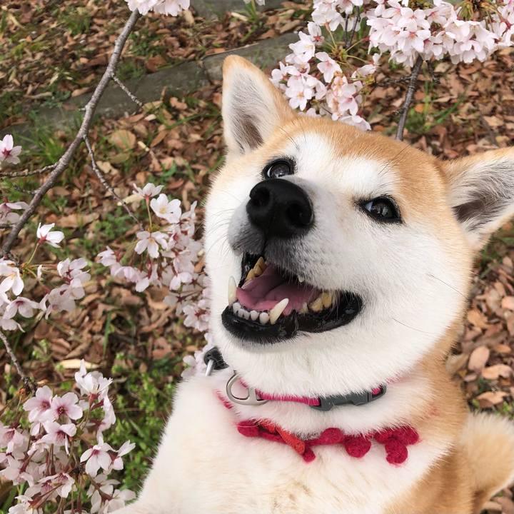 B343b488 5f95 4420 a138 8c75a617bdf5 1648959472798