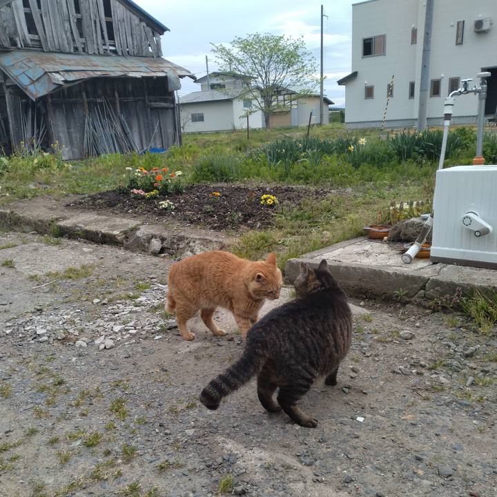 B343e138 bb2e 41bd 8dd9 d58a3345db72 1683324248992