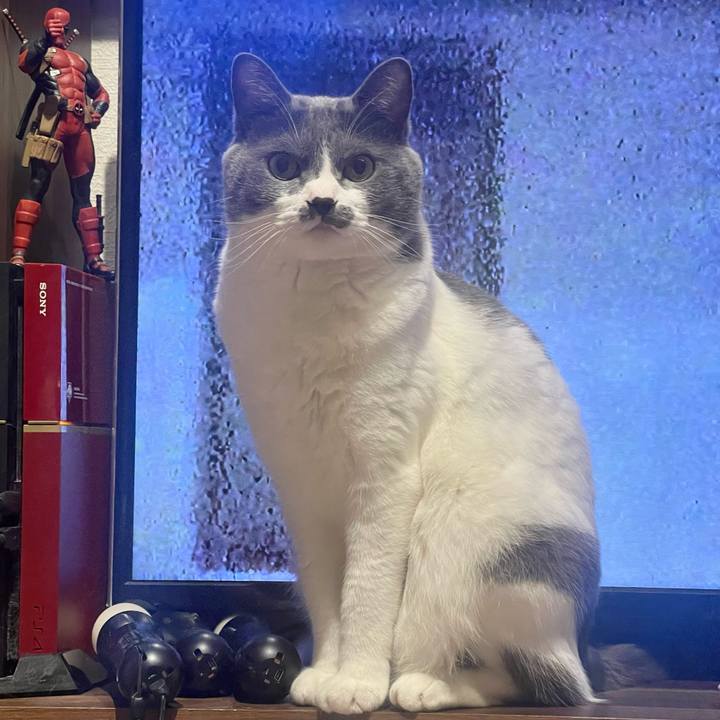 B343e2c2 0acb 451e bf97 f8d56605d746 1657971068854