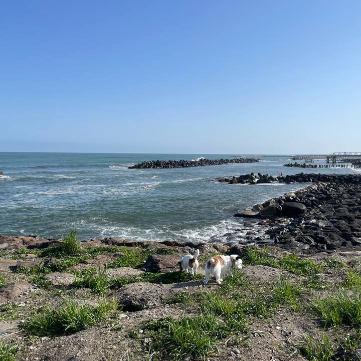 B343e97b cfae 45ab a935 1899ad46e979 1651103951826