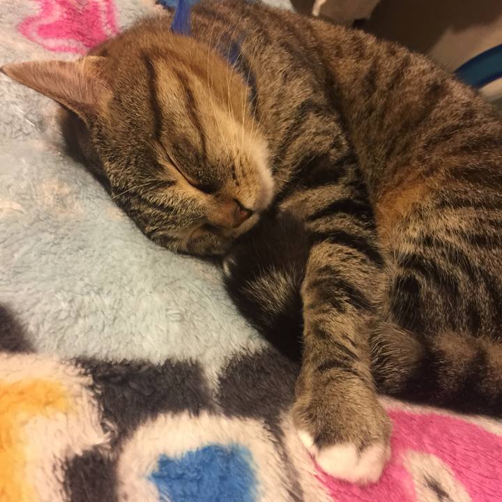 B343f525 0e57 40b3 9a67 7be93574f467 1561216619357