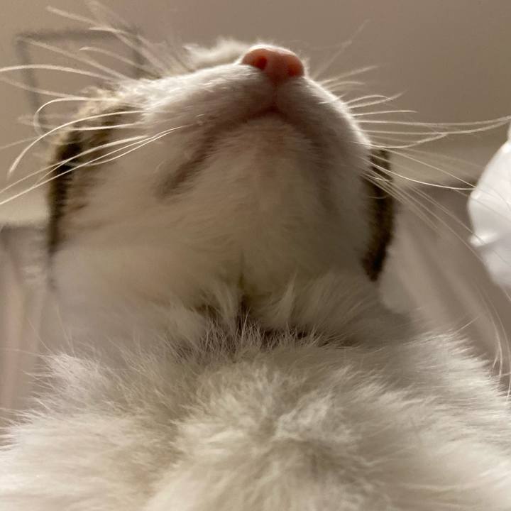 B3440426 7df4 46eb b746 63bca1091019 1574250379959