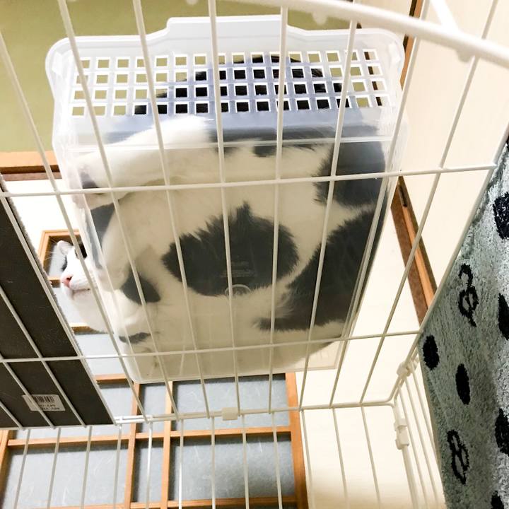 B34404e0 b3ca 44be 855a 5d7957dea127 1519915604395