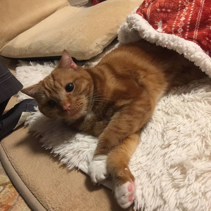 B3441cd1 3a52 4d9f b74c 8bb395fbfc11 1543277191982