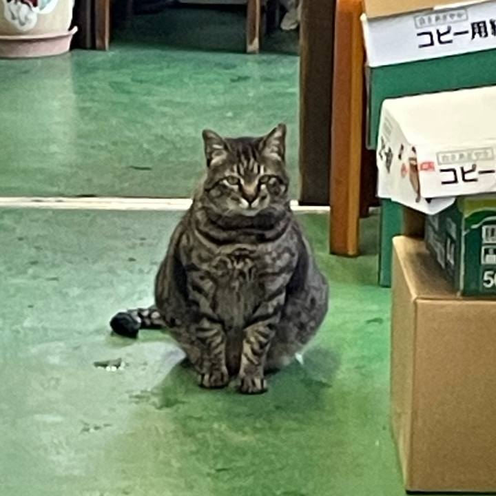 B344410b a2e0 4015 bf08 c9474be0ff40 1710405849104