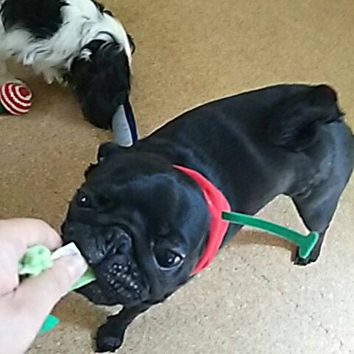 B34457ea 5682 4ff1 b337 6785d049e2ca 1535252750267