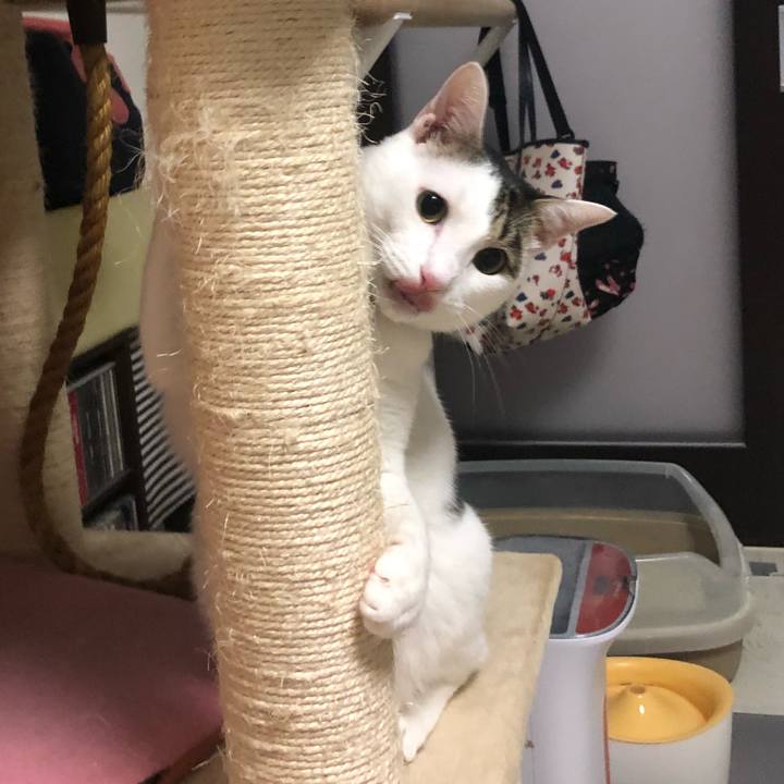 B3447e5a 3c06 4116 8182 1927b39d9a42 1534926772119