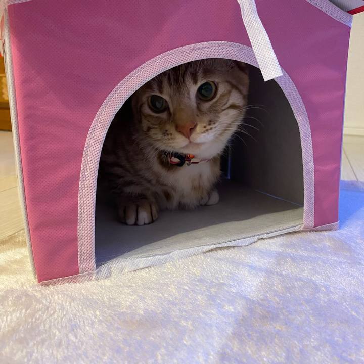 B3448d11 0b12 49f9 a5c4 d2d93b40b6e6 1605102759871