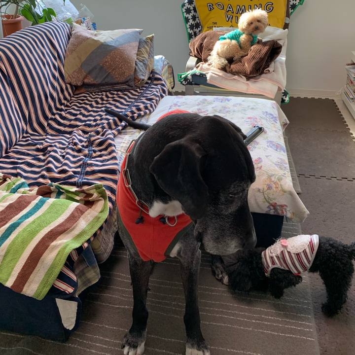 B344a70f d318 44e0 b9ed 44612603ad15 1586990457239