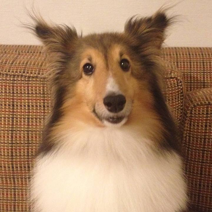 B344c199 c0ec 4add 9a2c 90a14422761a 1535263602089