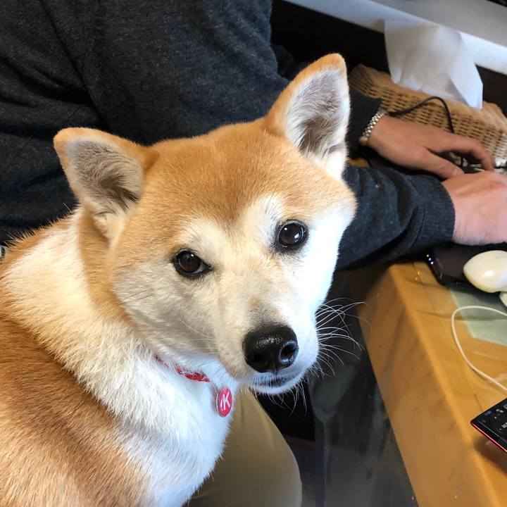 B344cc4f d8f7 4dbb 9019 d1db6edf7594 1575420311660