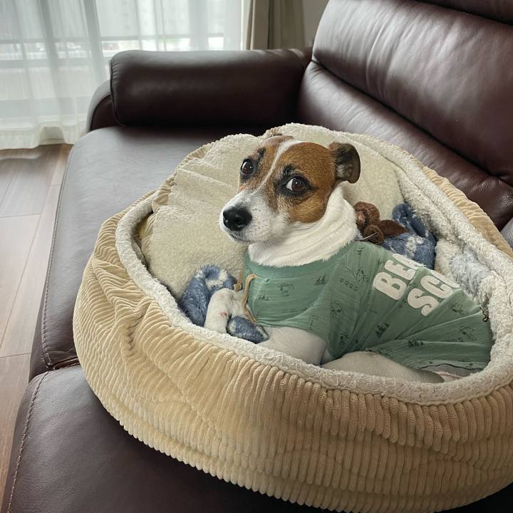 B34502ef e268 46bc a79d 16049062518f 1716859498775