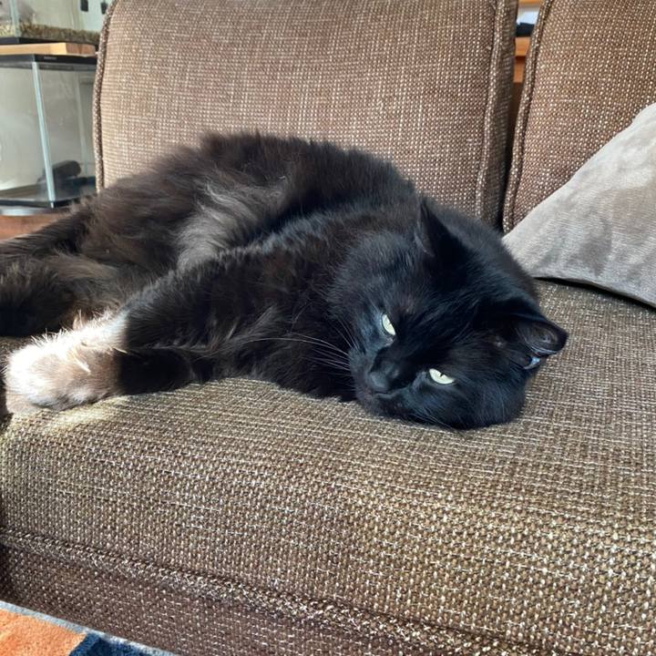 B345058a 2e2f 4f6a 9799 a96730a4272c 1590035486331