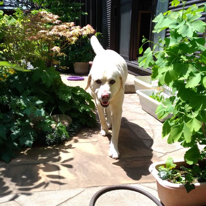 B3451730 c56d 45b0 ad55 95c642521218 1618889390696