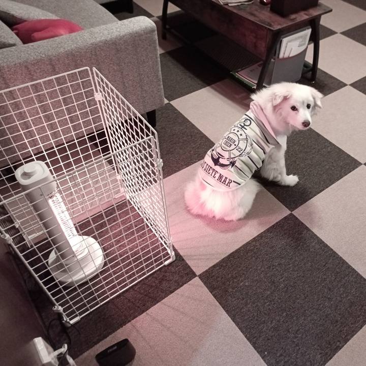 B3452fd2 ba4a 47cb ba8d 3e09a5556a72 1744574518747