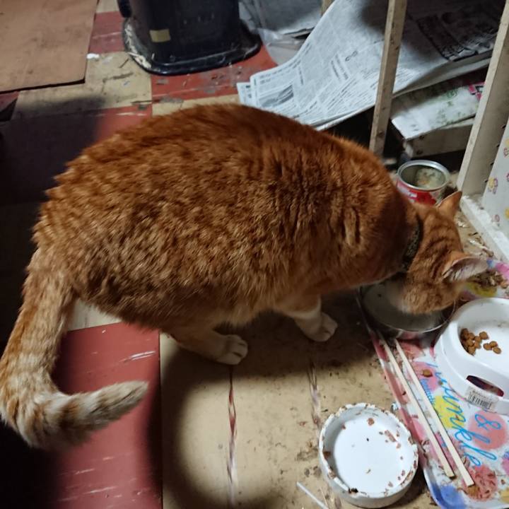 B3454640 3178 430e b08f aa1507f03cfa 1581070196908